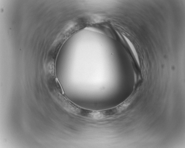 X0000056000425200508191328