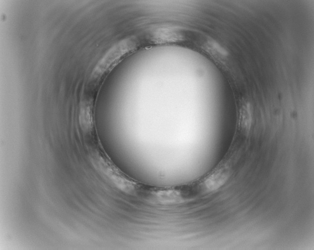 X0000056000426200508191328