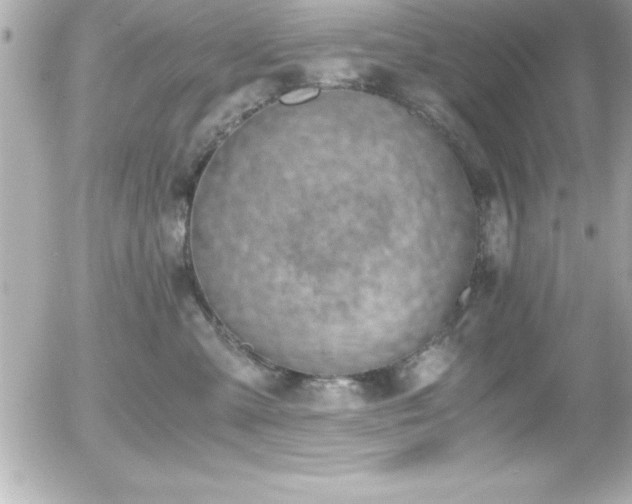 X0000056000427200508191328