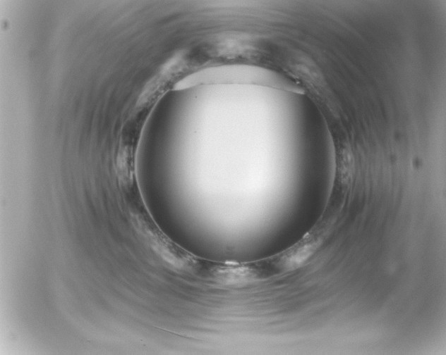 X0000056000428200508191328