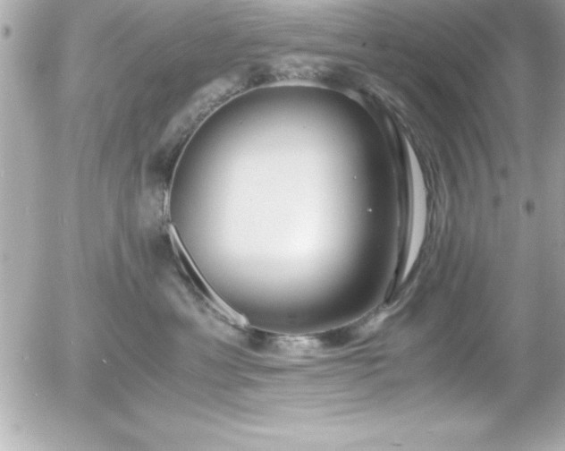 X0000056000429200508191328