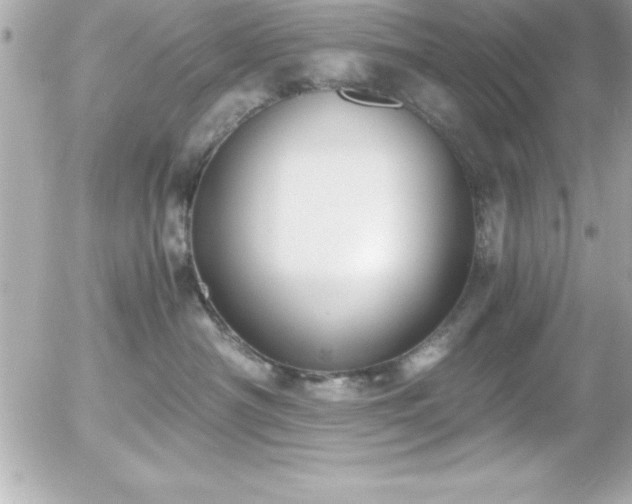 X0000056000430200508191328