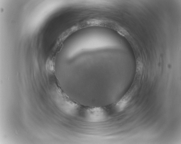 X0000056000431200508191328