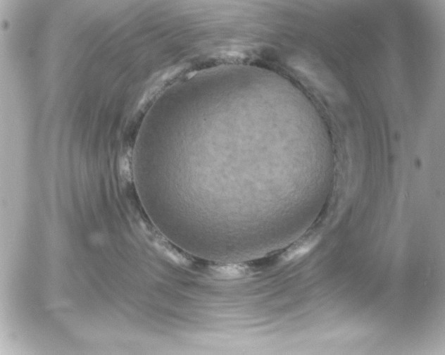 X0000056000432200508191328