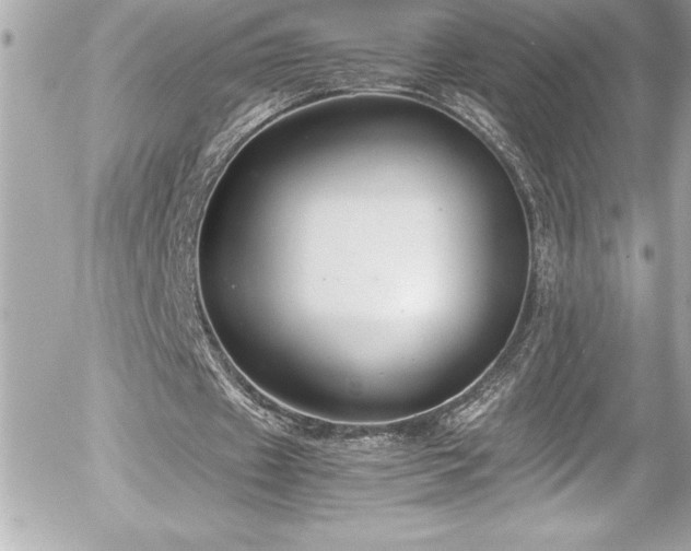 X0000056000433200508191328