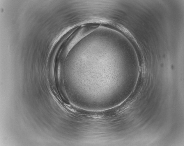 X0000056000436200508191328