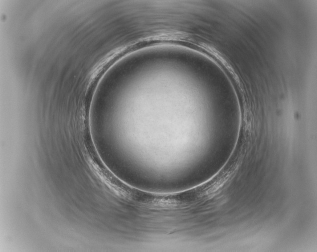 X0000056000437200508191328