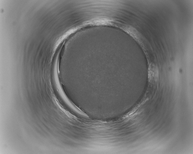 X0000056000438200508191328