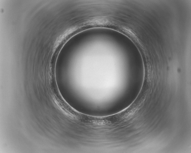 X0000056000439200508191328