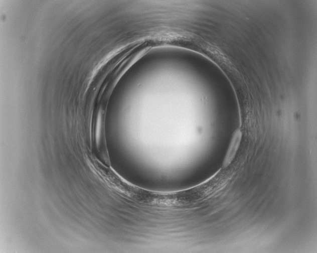 X0000056000440200508191328