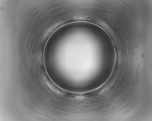 X0000056000441200508191328