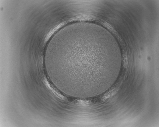 X0000056000442200508191328