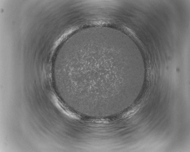 X0000056000443200508191328