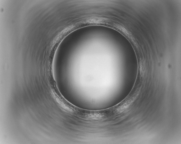 X0000056000445200508191328