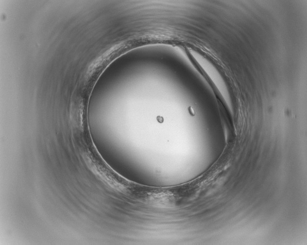 X0000056000446200508191328