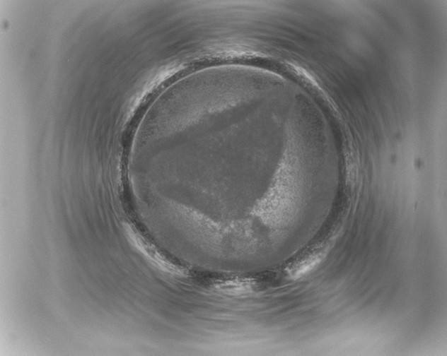 X0000056000447200508191328