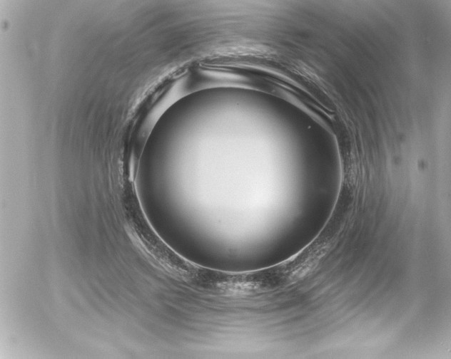 X0000056000448200508191328