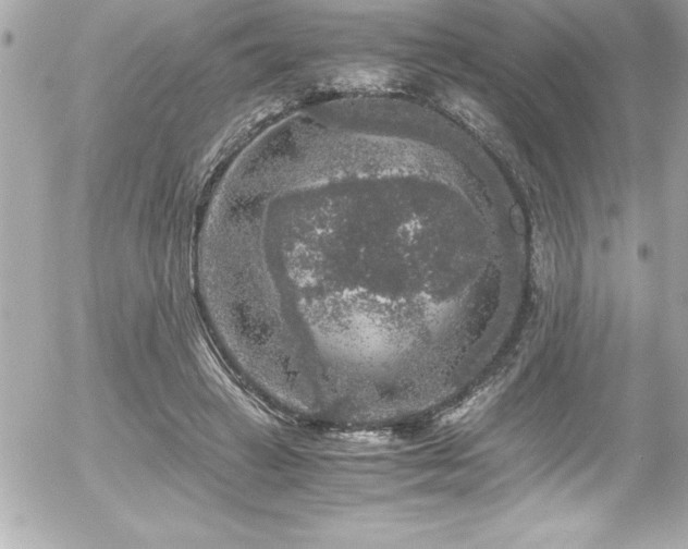 X0000056000449200508191328