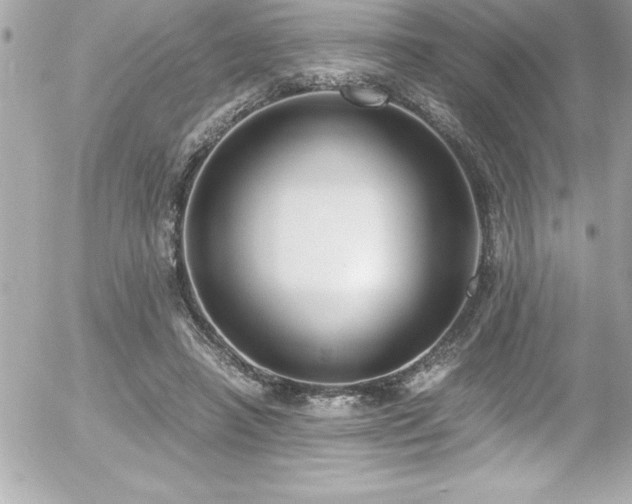 X0000056000450200508191328