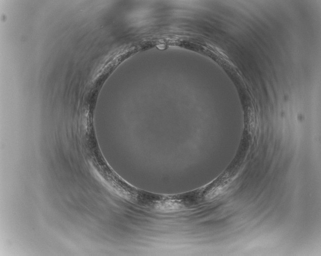 X0000056000451200508191328