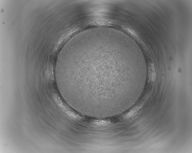 X0000056000453200508191328