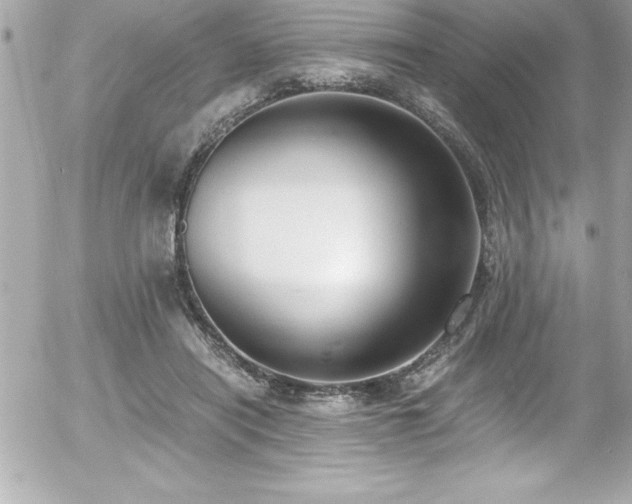 X0000056000454200508191328