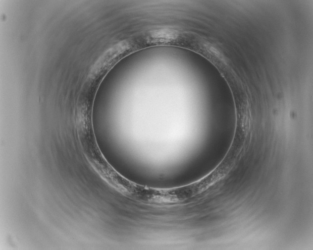 X0000056000455200508191328