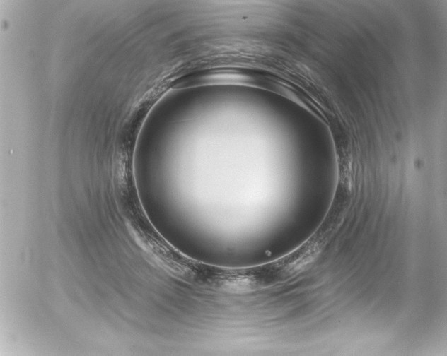 X0000056000456200508191328