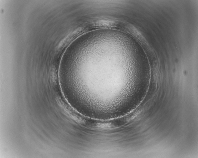 X0000056000457200508191328