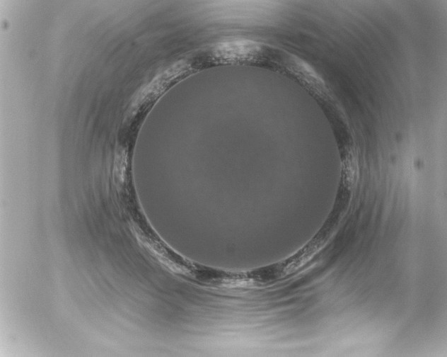 X0000056000458200508191328