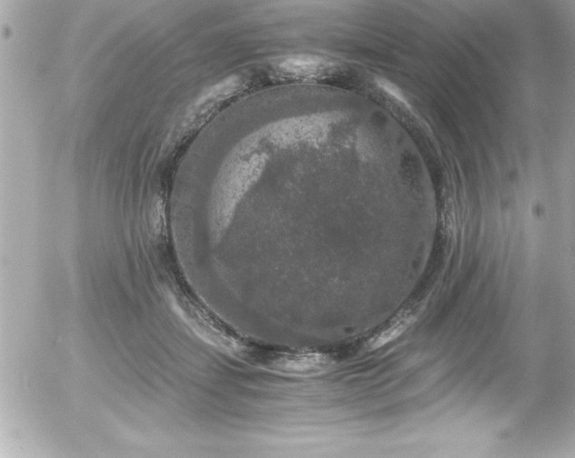 X0000056000459200508191328