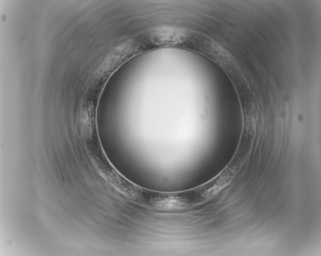 X0000056000460200508191328