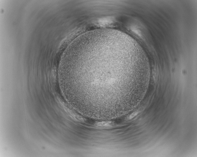 X0000056000461200508191328