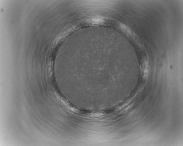 X0000056000462200508191328