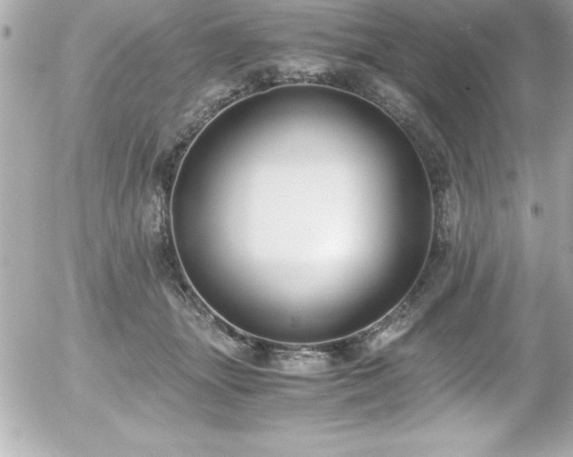 X0000056000463200508191328