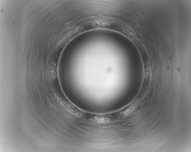 X0000056000464200508191328