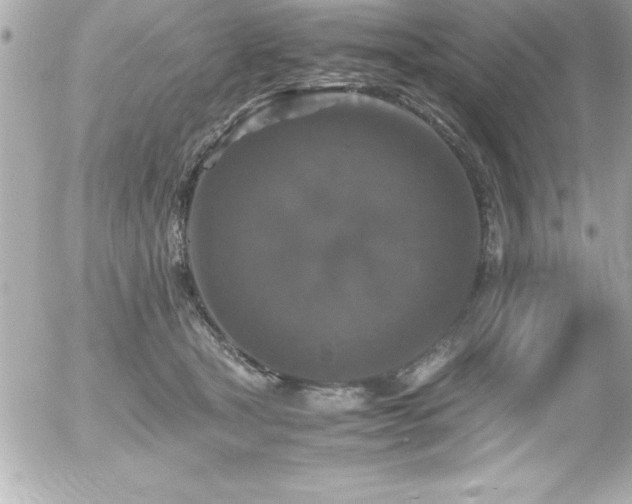 X0000056000465200508191328