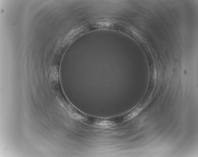 X0000056000467200508191328