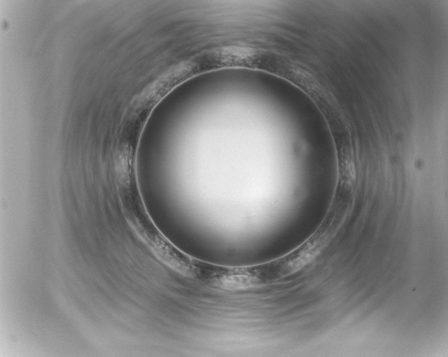 X0000056000468200508191328