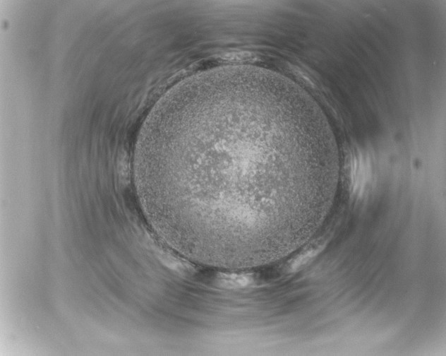 X0000056000469200508191328