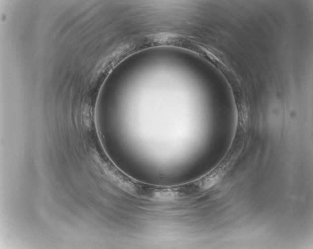 X0000056000470200508191328