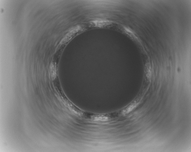 X0000056000471200508191328