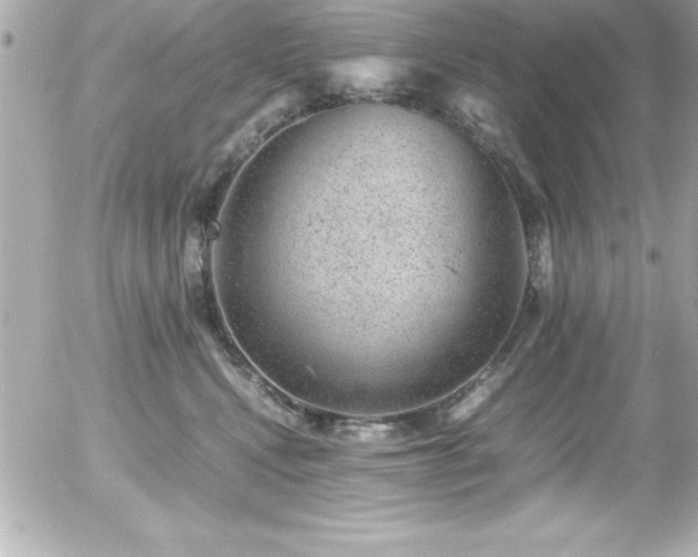 X0000056000472200508191328