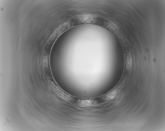 X0000056000473200508191328