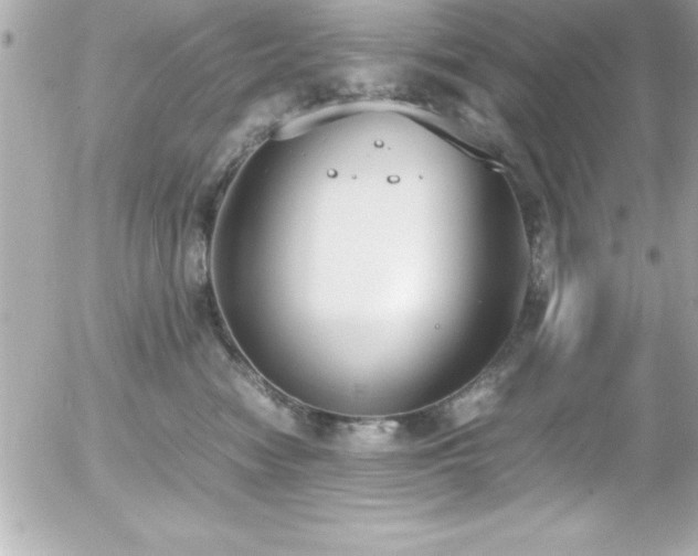 X0000056000474200508191328