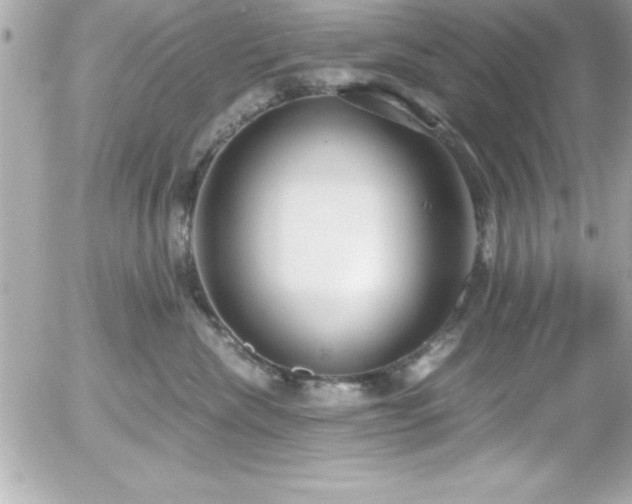 X0000056000476200508191328