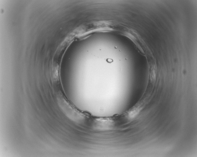 X0000056000477200508191328