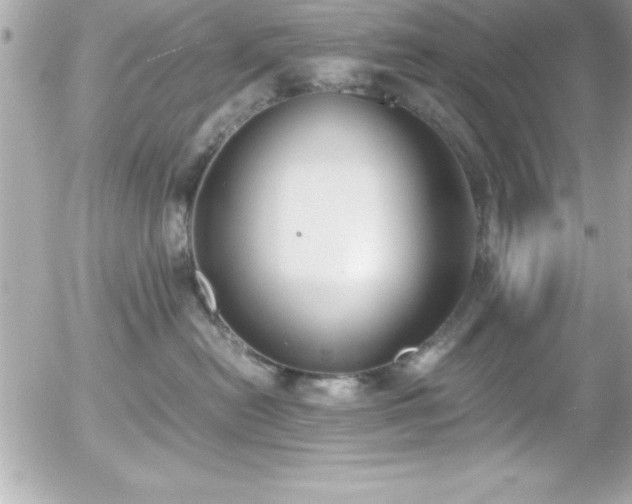 X0000056000478200508191328