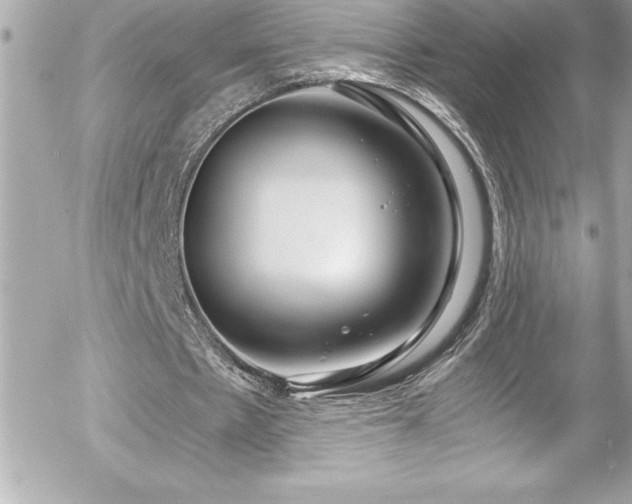 X0000056000481200508191328