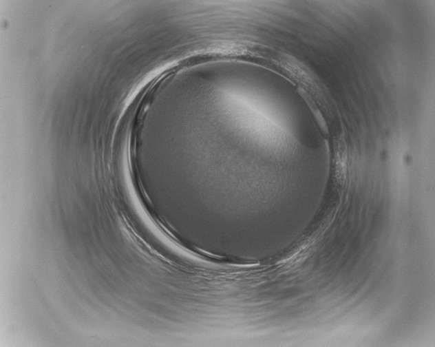X0000056000484200508191327